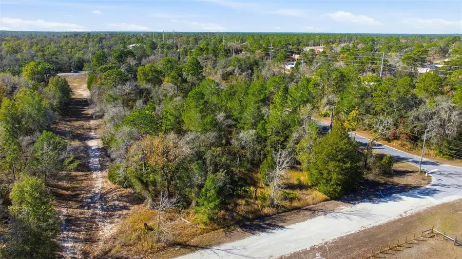 12246 Millington Avenue, Brooksville, FL 34614 - Image #3