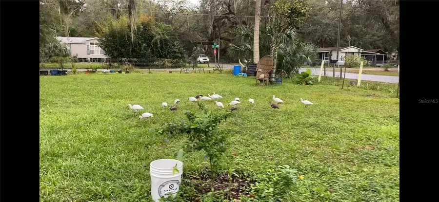 2805 Cr 423, Lake Panasoffkee, FL 33538 - #3