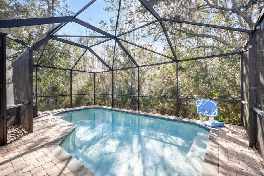 7878 Tuscany Woods Drive, Tampa, FL 33647 - Image #2