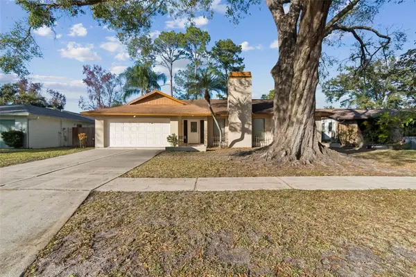 4109 Summerdale Drive, TAMPA, FL 33624
