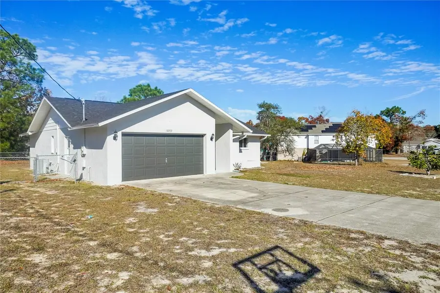 12203 Lamont Drive, Spring Hill, FL 34608 - Image #3