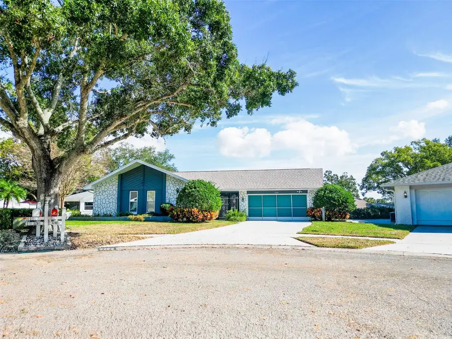 3280 Skene Terrace, Palm Harbor, FL 34684 - Image #3