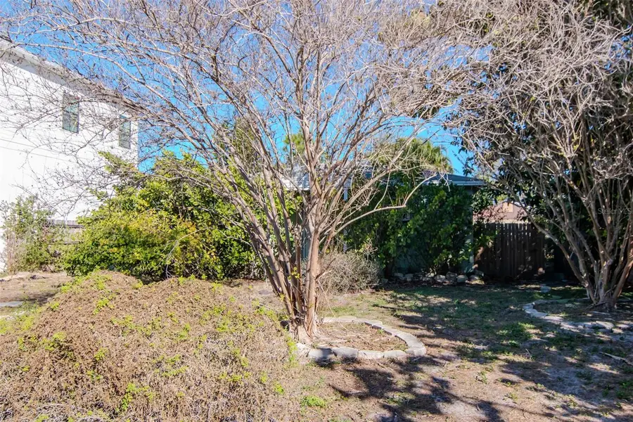 3005 W Meadow Street, Tampa, FL 33611 - Image #3