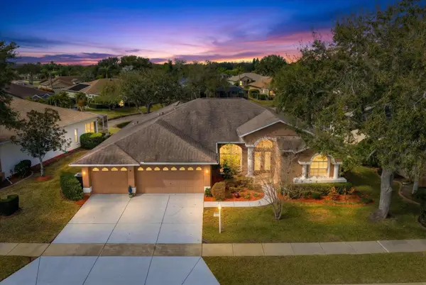 1237 Rambling Vine Court, TRINITY, FL 34655