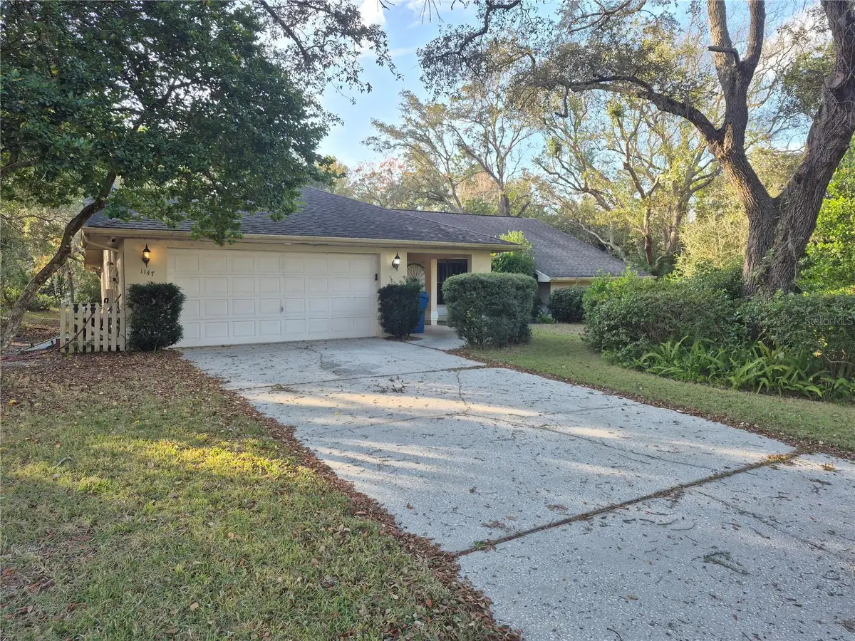 1147 Barranca Avenue, Spring Hill, FL 34609 - #1