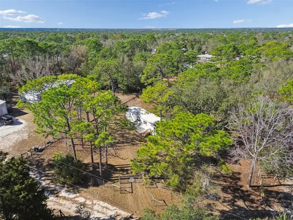 5464 S Wilson Point, HOMOSASSA, FL 34446