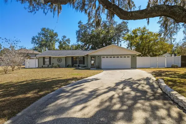 1309 Rustling Oaks Drive, BRANDON, FL 33510