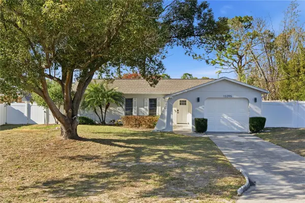 13295 Mitten Lane, SPRING HILL, FL 34609