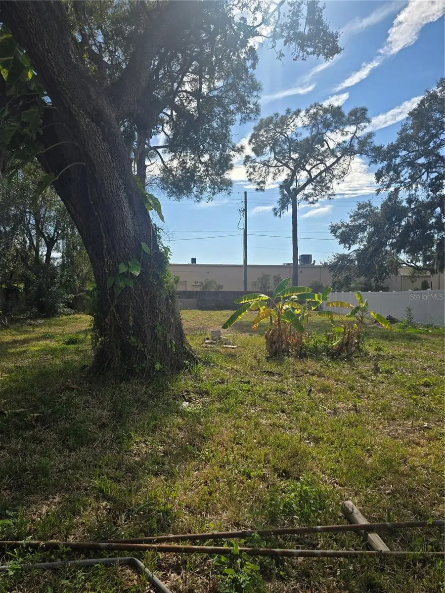 8506 Sunbean Lane, Tampa, FL 33615 - Image #2