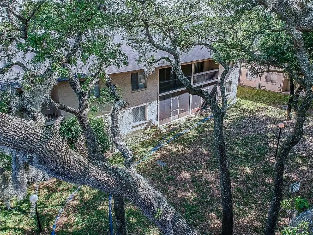 7537 Pitch Pine Circle N #C, Tampa, FL 33617 - Image #1