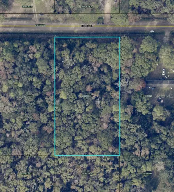 4525 Fredrick Street, HASTINGS, FL 32145