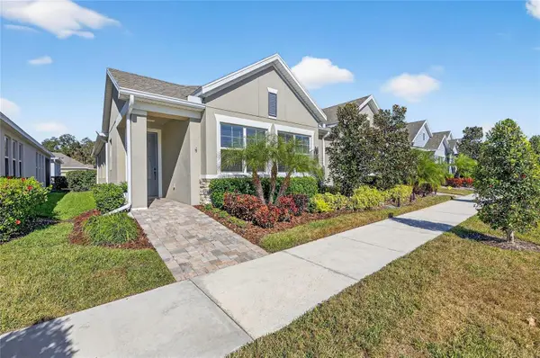 13890 Kingfisher Glen Drive, LITHIA, FL 33547