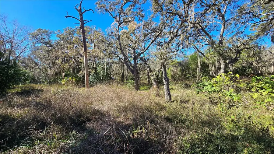 15609 Becky Lane, Hudson, FL 34667 - #2