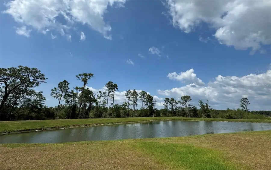 8922 Little Bluestem Drive, Land O Lakes, FL 34637 - Image #2