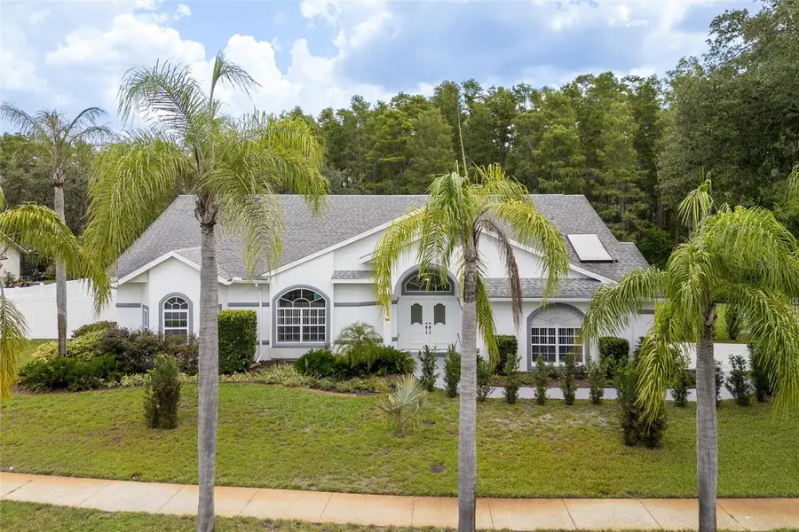 9915 Hermosillo Drive, New Port Richey, FL 34655 - Image #2