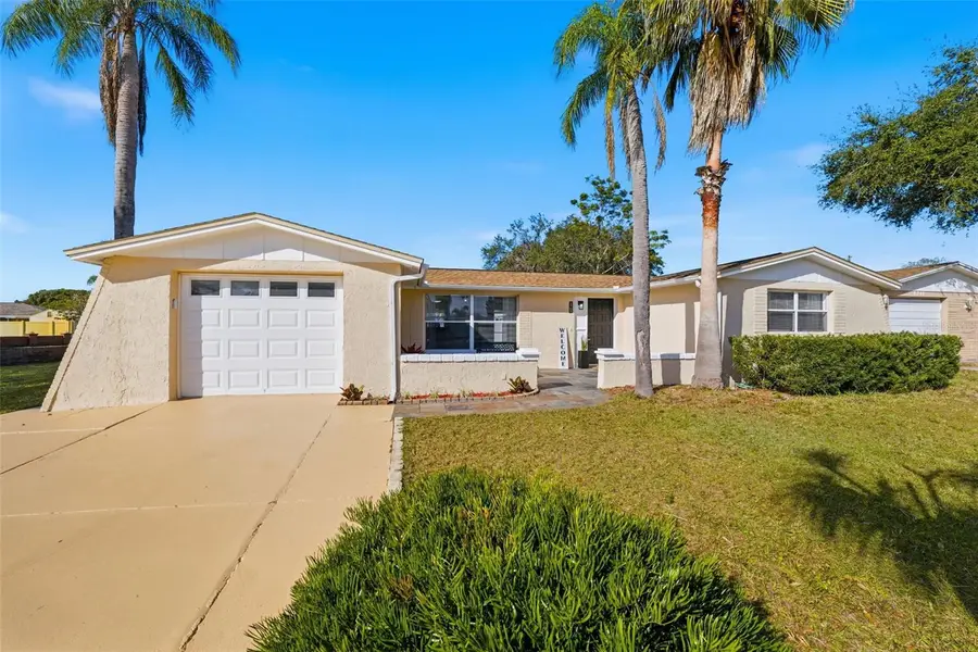 2703 Dante Place, Holiday, FL 34691 - Image #2