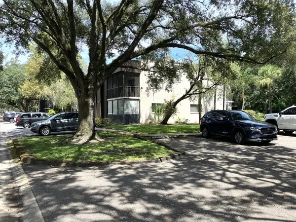 11703 Raintree Village Boulevard #B, TEMPLE TERRACE, FL 33617