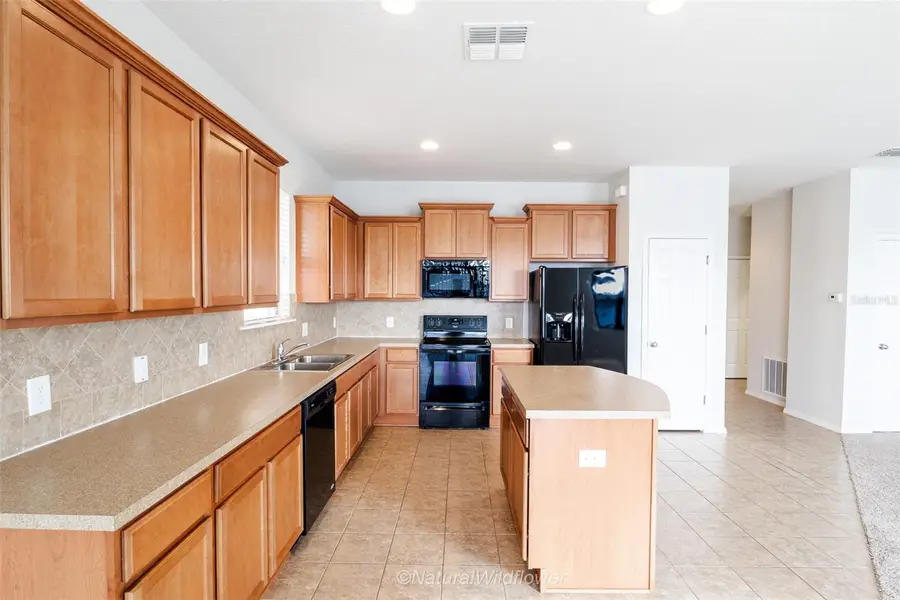 783 Petal Mist Lane, Brooksville, FL 34604 - #3