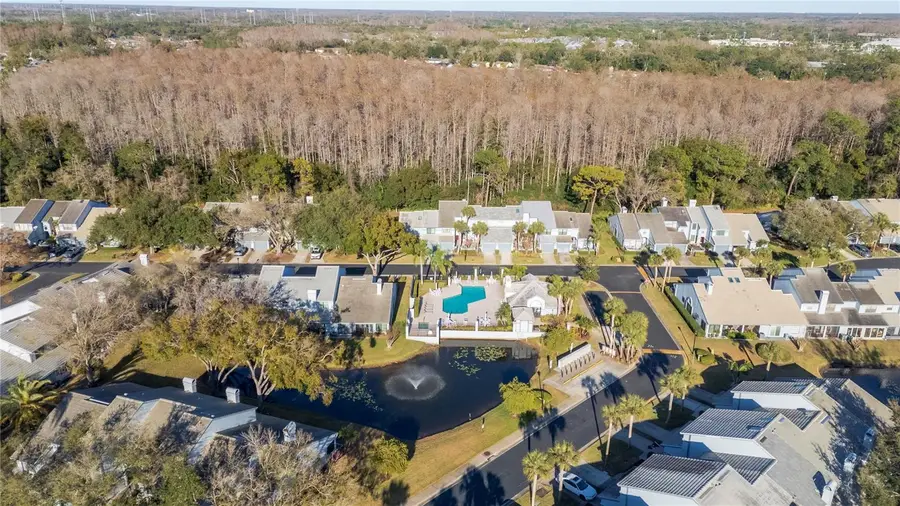 4138 Brentwood Park Circle, Tampa, FL 33624 - #3