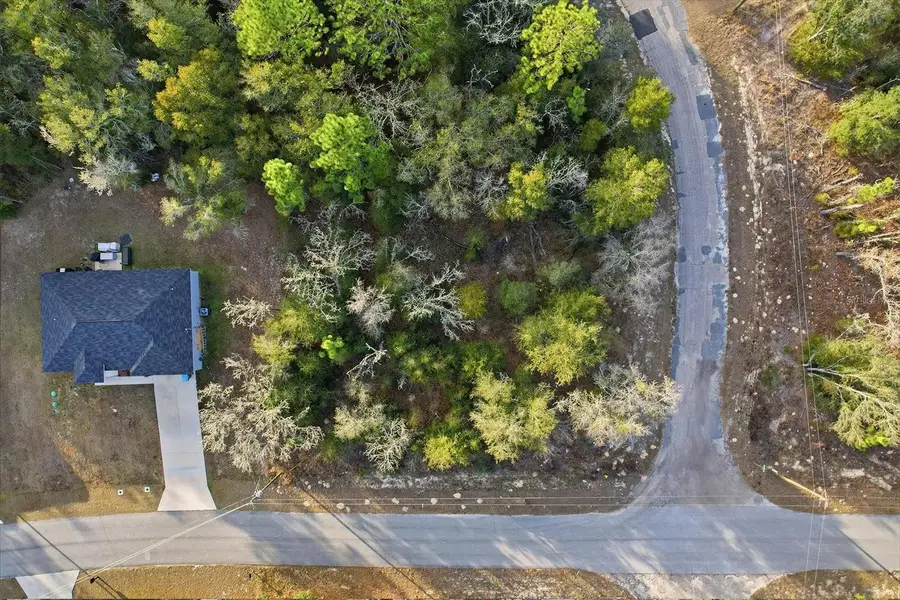 10925 N Ocean Drive, Citrus Springs, FL 34434 - #2