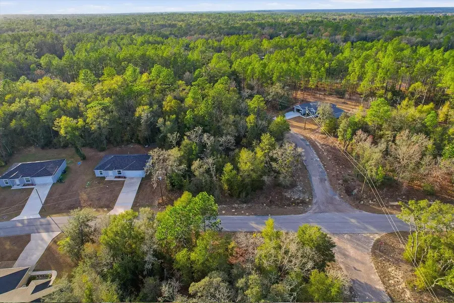 10925 N Ocean Drive, Citrus Springs, FL 34434 - #3