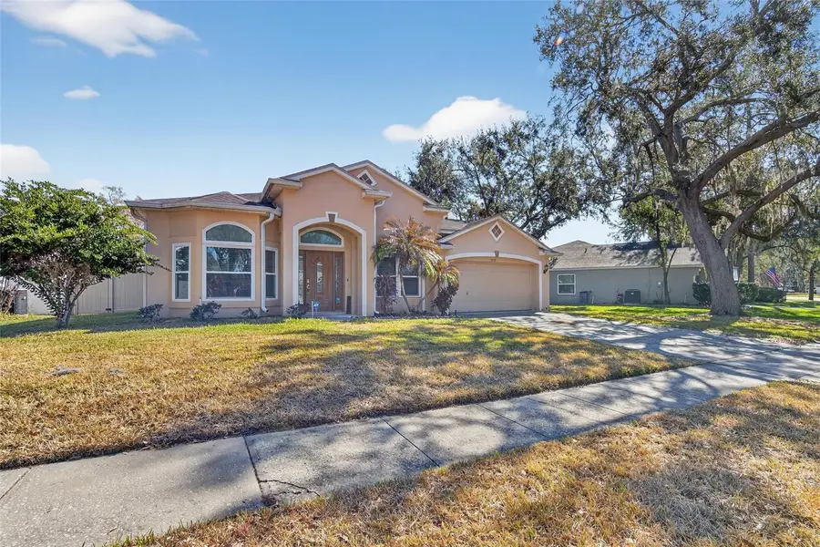 3732 Cold Creek Drive, Valrico, FL 33596 - #2