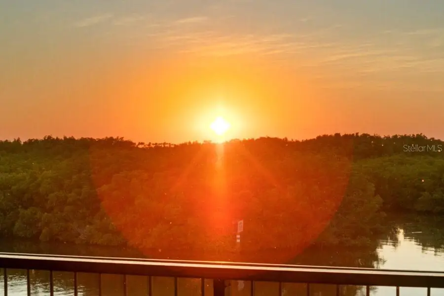 7313 Pelican Island Drive, Tampa, FL 33634 - Image #2