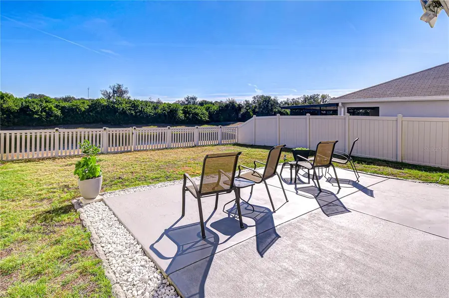 11906 Downy Birch Drive, Riverview, FL 33569 - Image #3