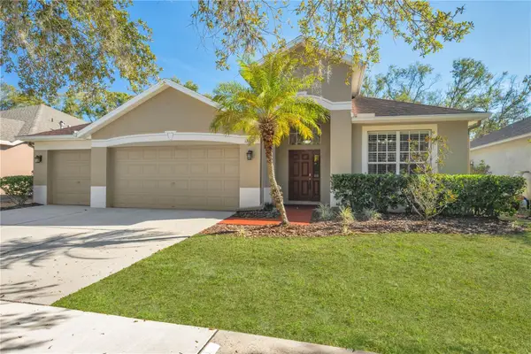 17115 Falconridge Road, LITHIA, FL 33547