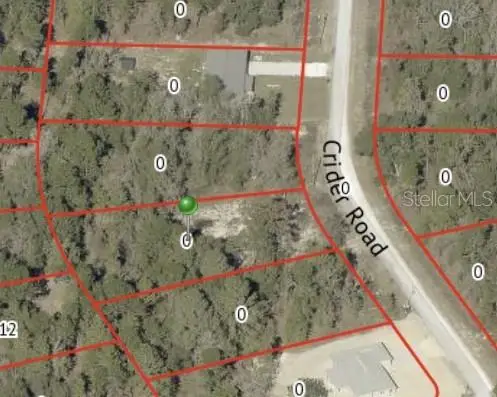 16221 Crider Road, Brooksville, FL 34614 - #2