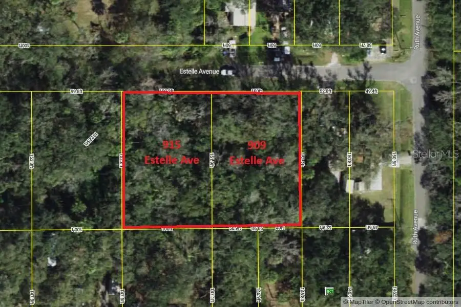 909 Estelle Ave, Brandon, FL 33511 - Image #1