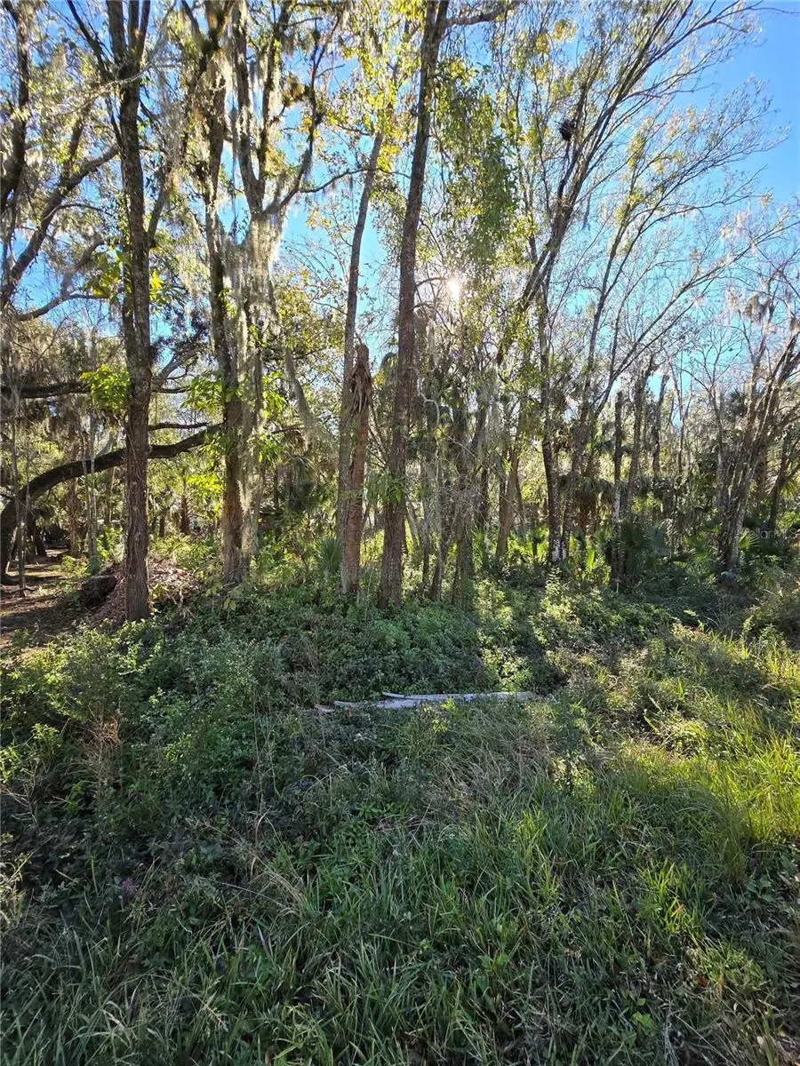 909 Estelle Ave, Brandon, FL 33511 - Image #2