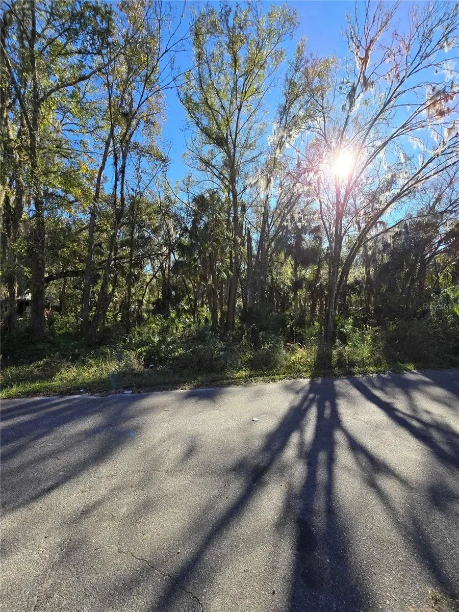 909 Estelle Ave, Brandon, FL 33511 - Image #3