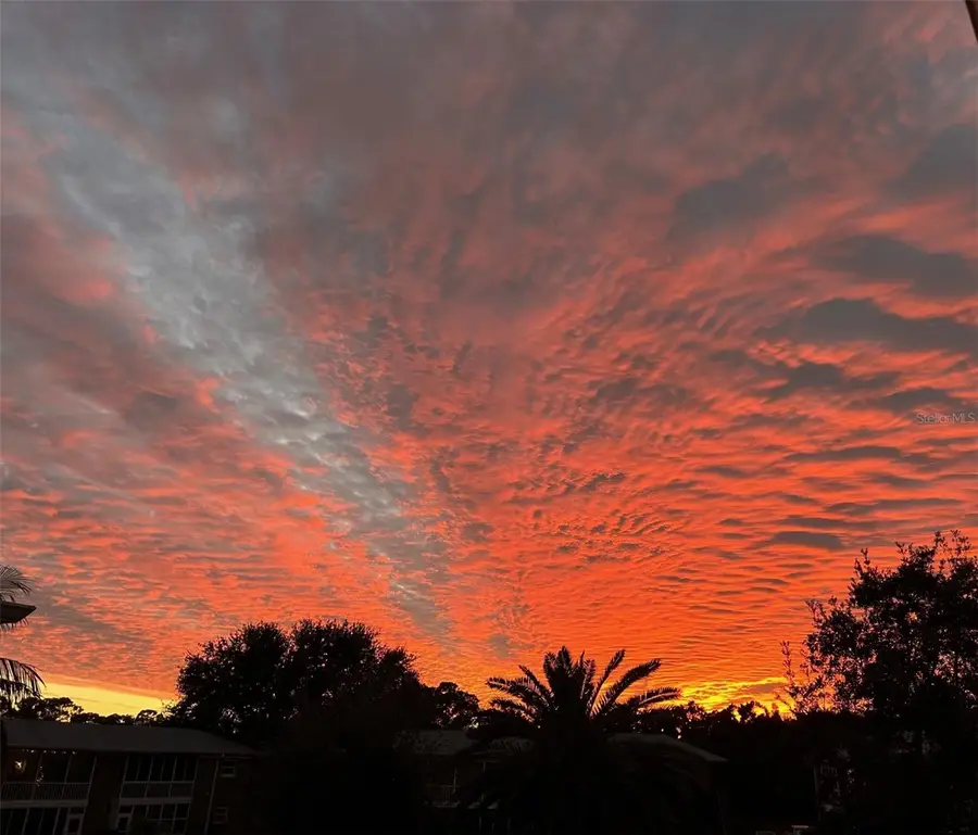 3947 35th Way S #131, Saint Petersburg, FL 33711 - Image #2