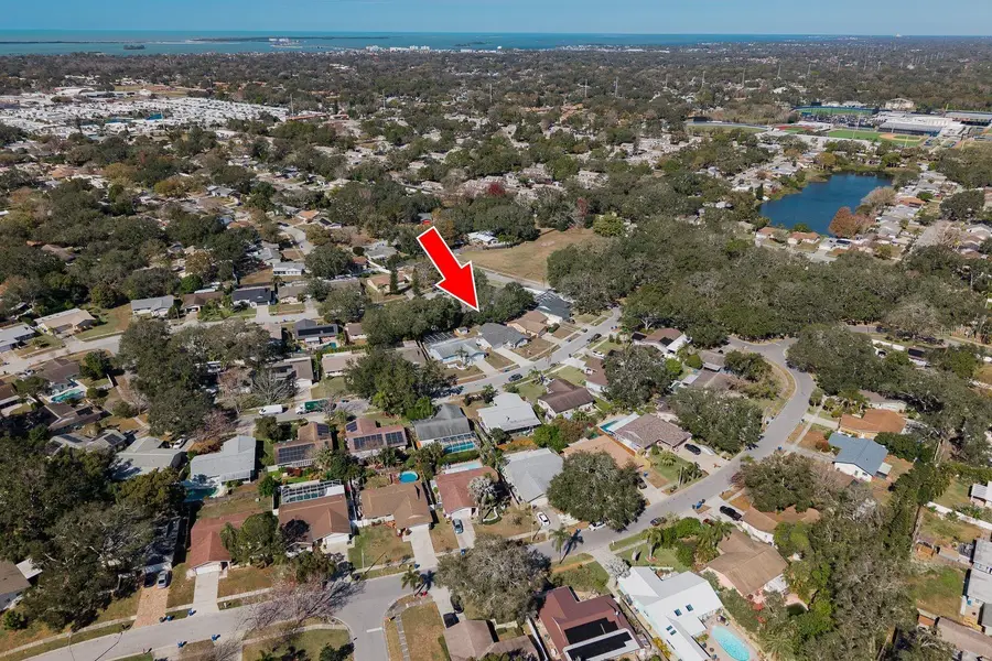 1402 Overlea Drive, Dunedin, FL 34698 - Image #2