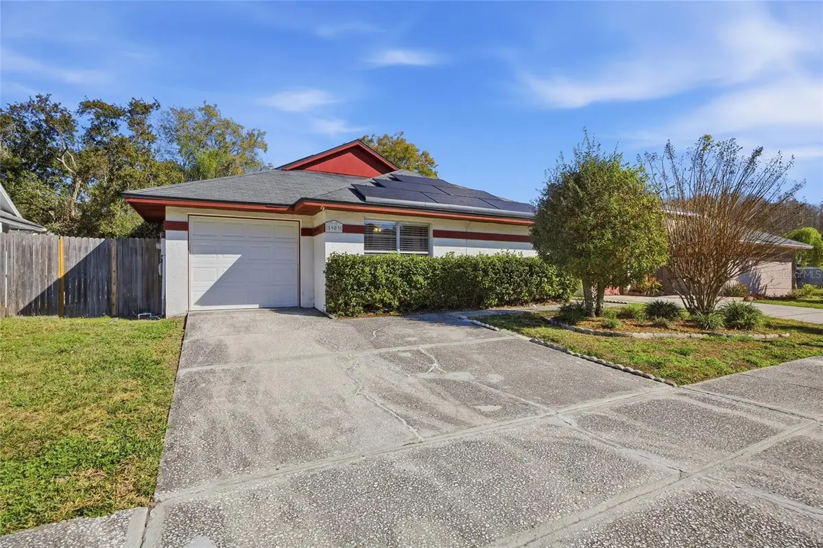 5903 Birchwood Drive, Tampa, FL 33625 - Image #1