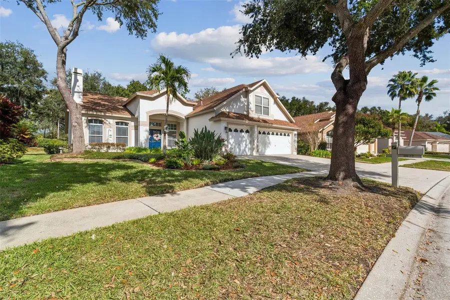 10122 Whisper Pointe Drive, Tampa, FL 33647 - Image #3