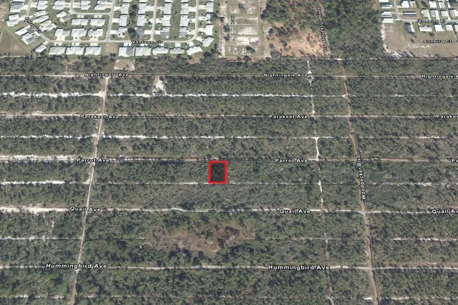 533 Parrot Avenue, Sebring, FL 33870 - Image #3