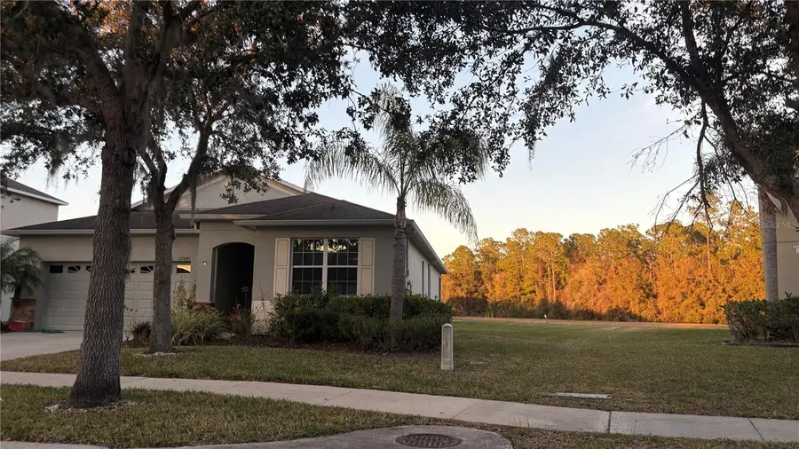 20445 Autumn Fern Avenue, Tampa, FL 33647 - Image #2