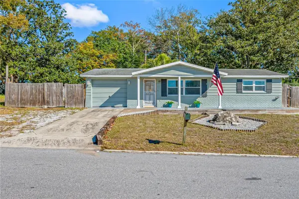 3412 Peterborough Street, HOLIDAY, FL 34690