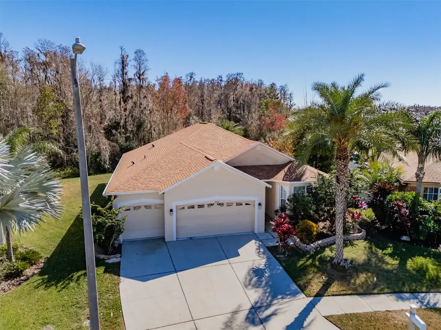 31230 Alchester Drive, Wesley Chapel, FL 33543 - Image #2