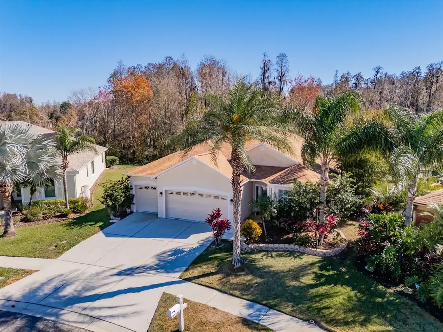 31230 Alchester Drive, Wesley Chapel, FL 33543 - Image #3