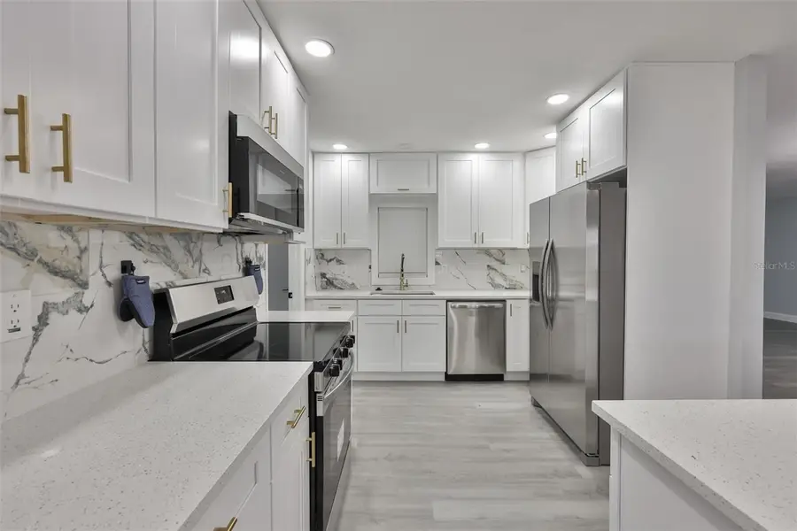 1007 Strawpocket Place, Sun City Center, FL 33573 - Image #2