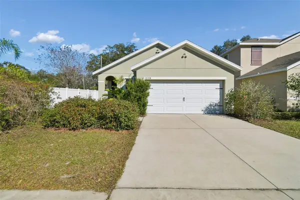 10104 Hawk Storm Avenue, TAMPA, FL 33610
