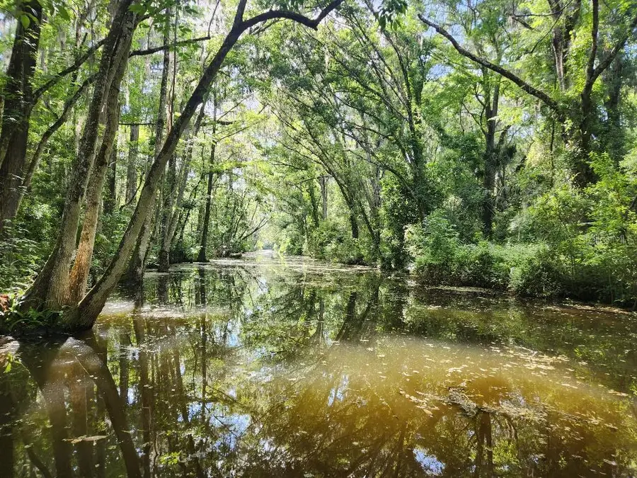 Pine Ridge Road #5, Leesburg, FL 34748 - #2