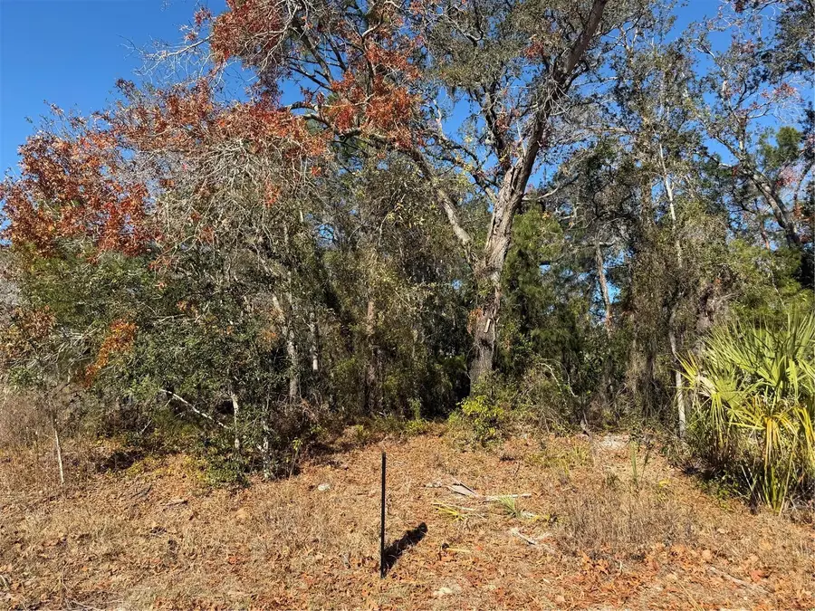 4307 Castle Avenue, Spring Hill, FL 34609 - Image #2