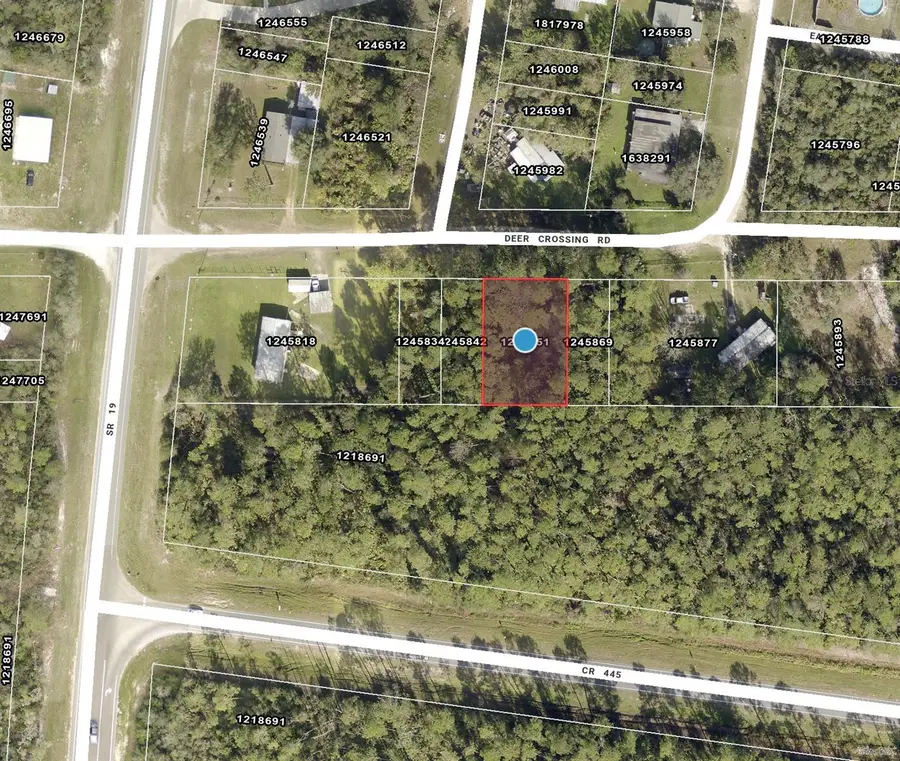TBD Deer Crossing Road, Altoona, FL 32702 - #2
