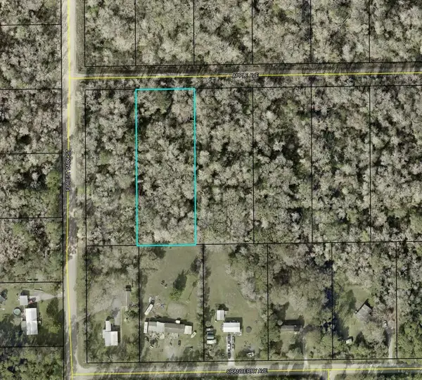 3909 Apple Avenue, BUNNELL, FL 32110