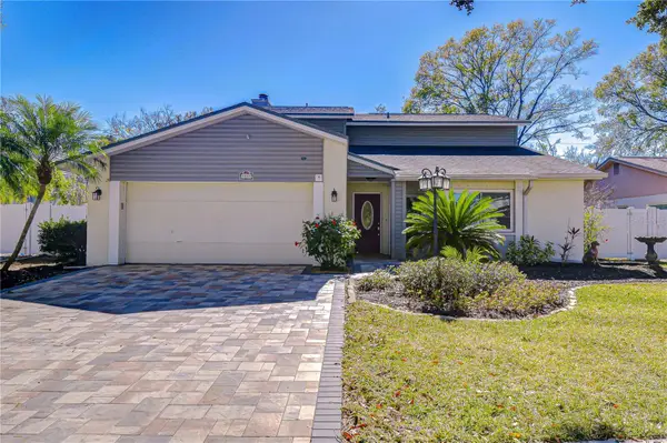 5008 Country Hills Drive, TAMPA, FL 33624