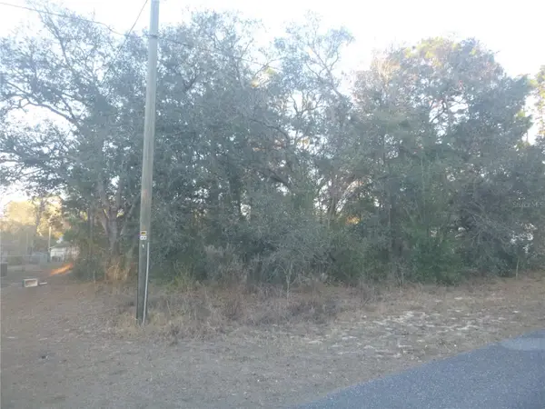 8253 N Krouse Way, DUNNELLON, FL 34433